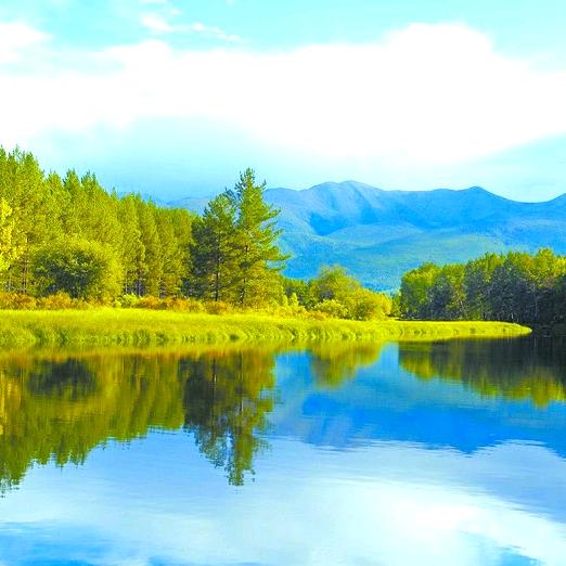 摯笔寫芐、ー季忧傷