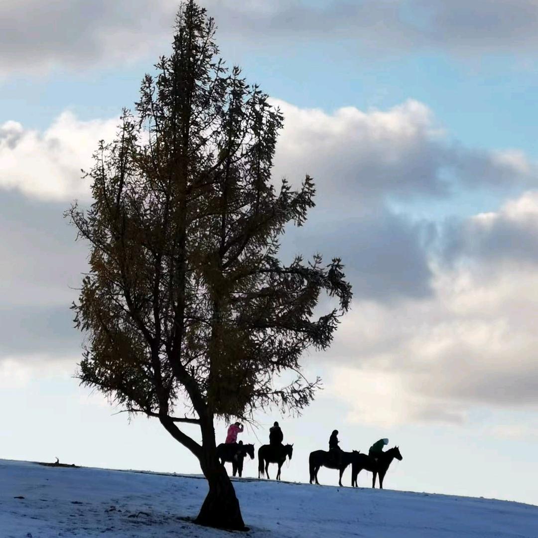 白哈巴朵儿客栈