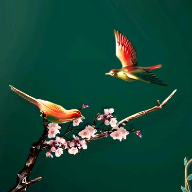 @宝琪