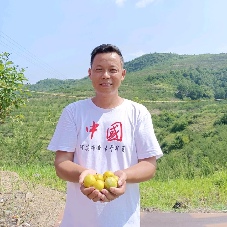 汉阴李子哥