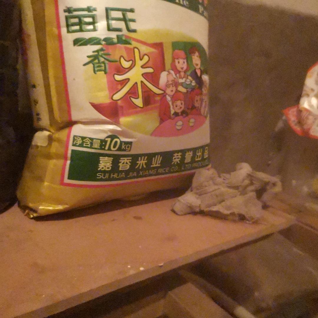 太阳花