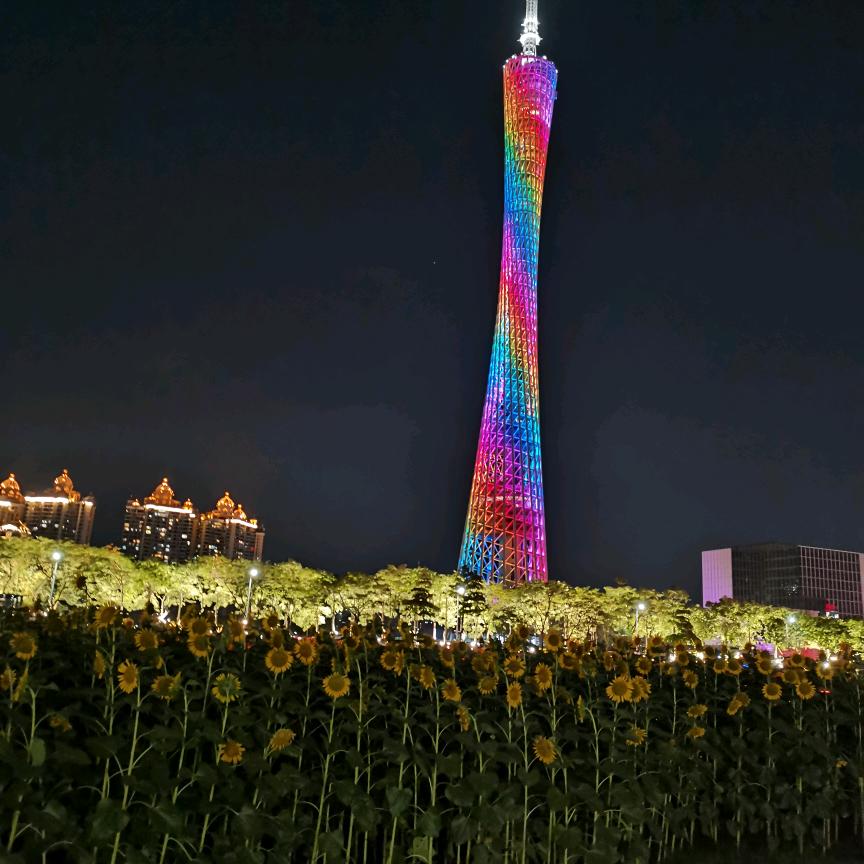 快乐每一天