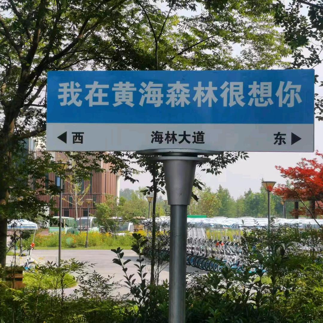 徐建英