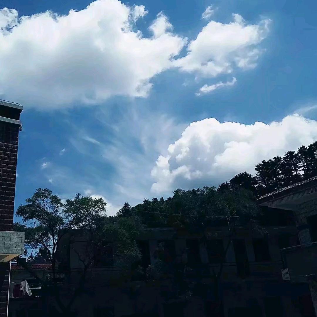 机会