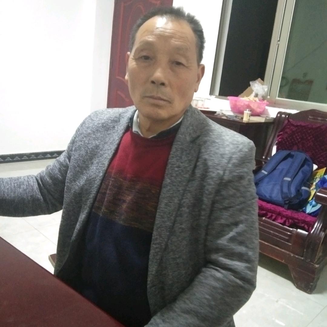 呆萌的企鹅。