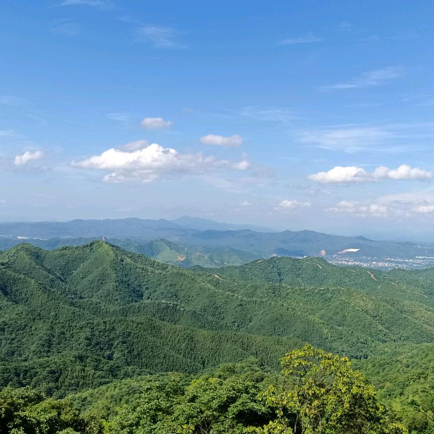 创宏广告装饰