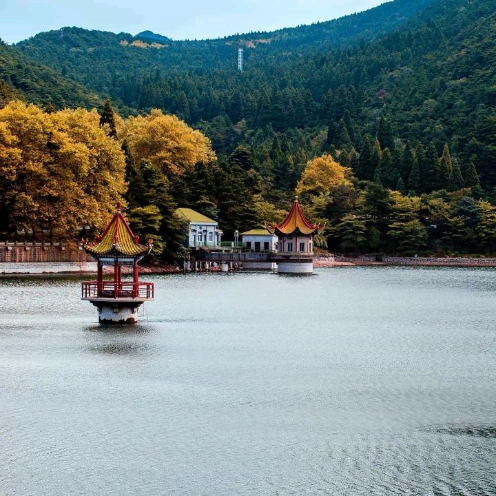 来自元宇宙🍎苹果