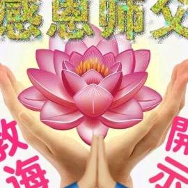 用户954866708298