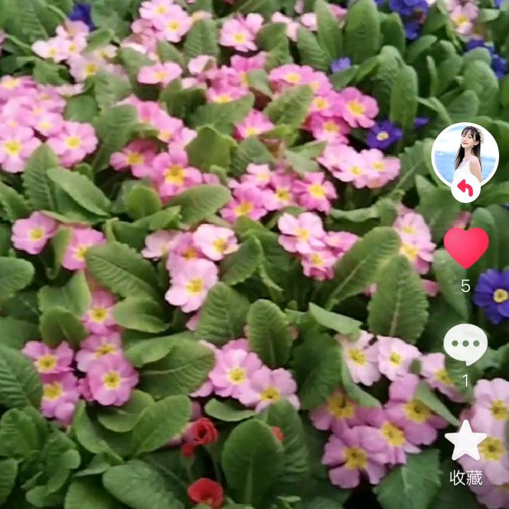 岁月静好，温和从容。