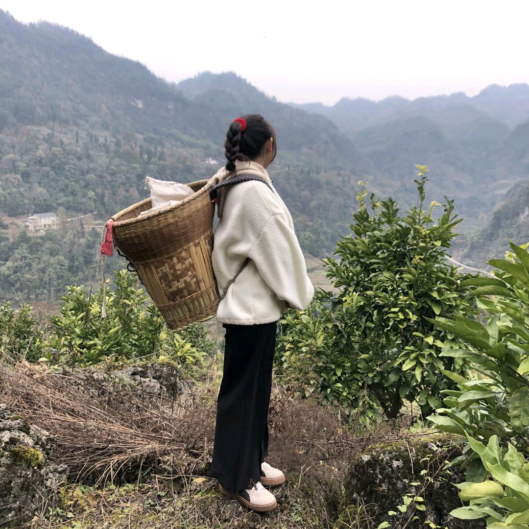 小熊同学