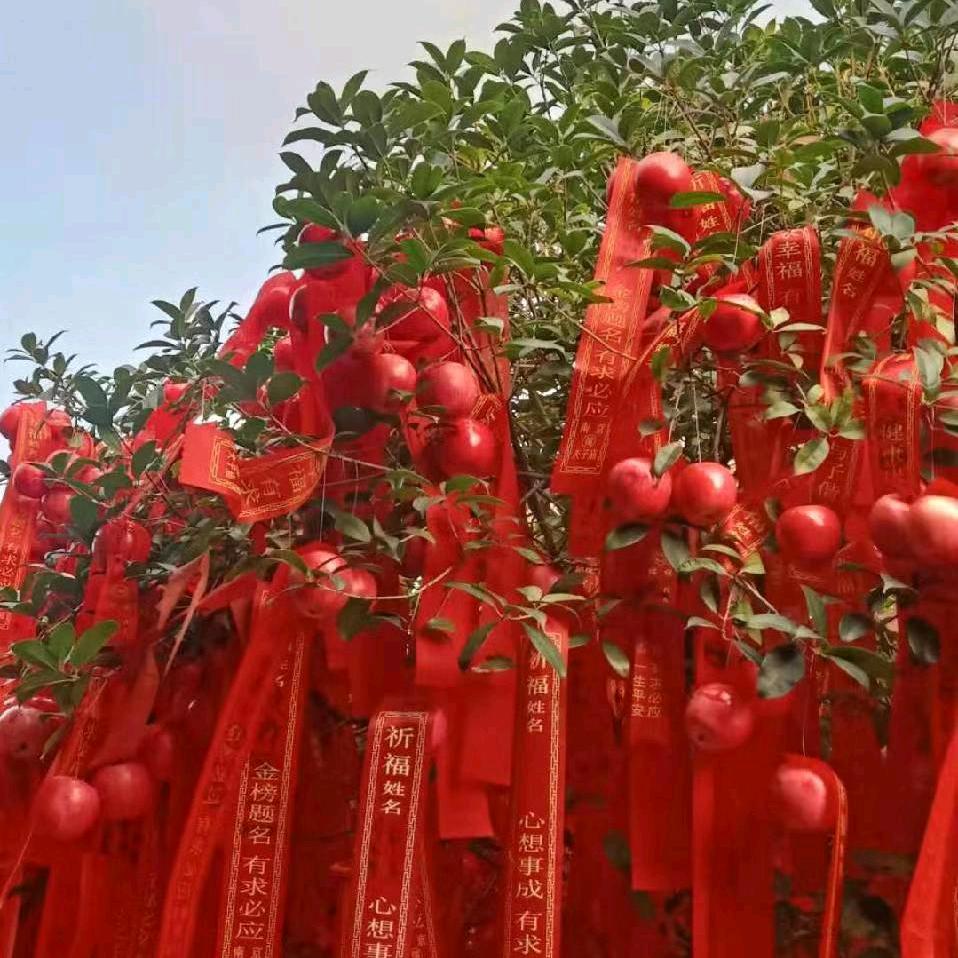李秀英