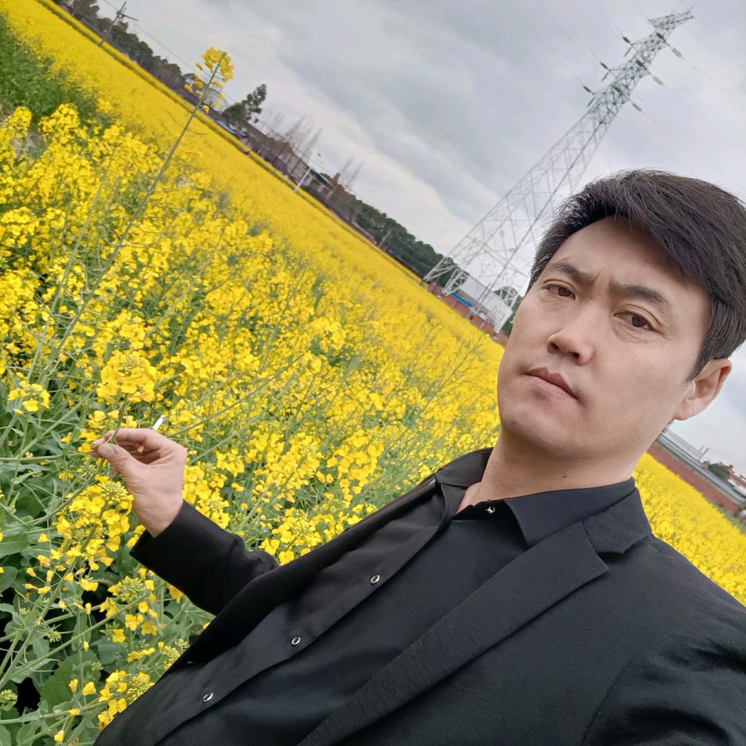 陈飞