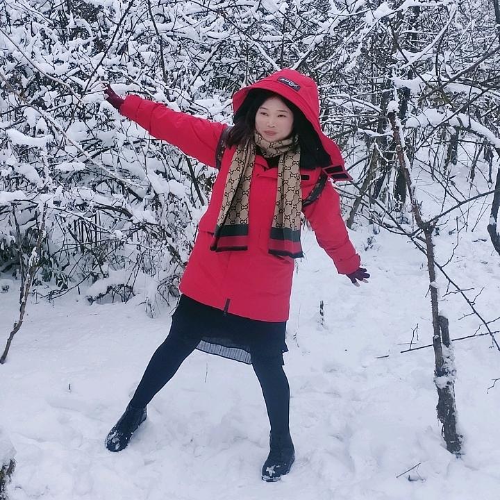 燕子盼归