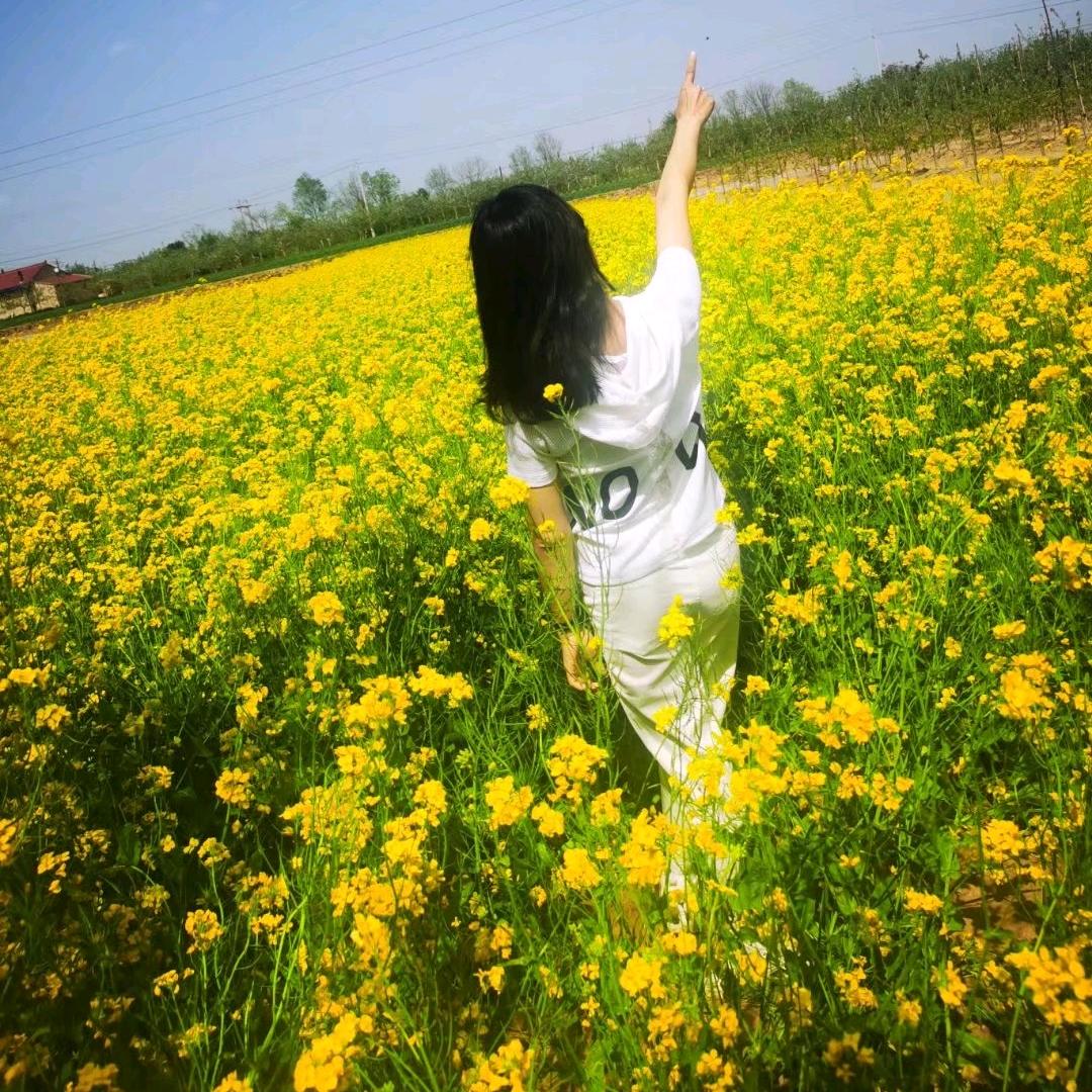 弄花香满衣