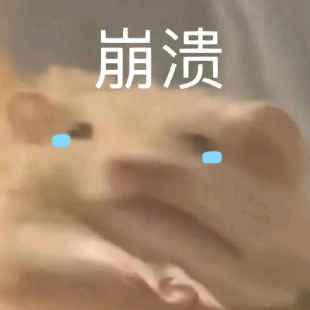 迷迷糊糊也要学哇