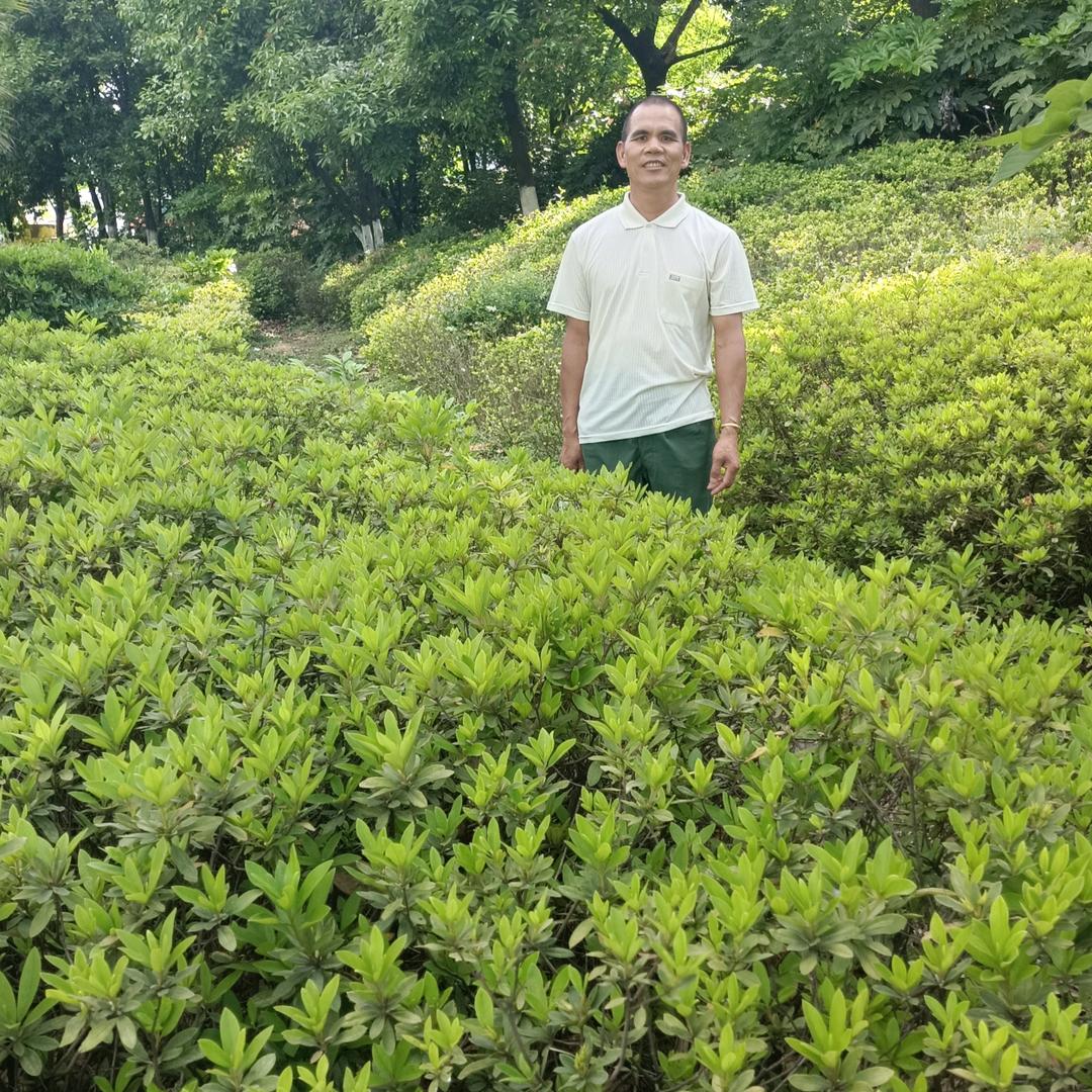 李老三