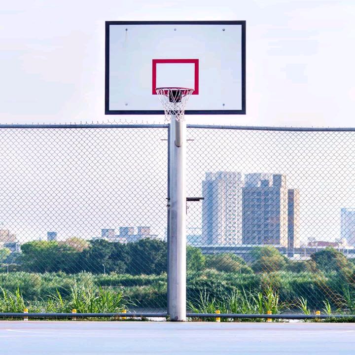 西西成功历险记