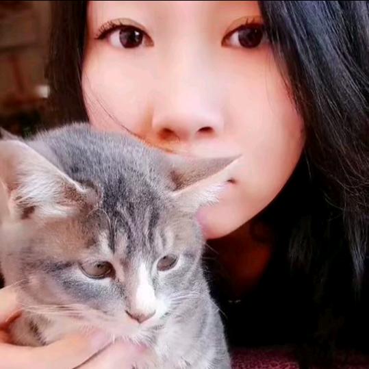 小灰灰