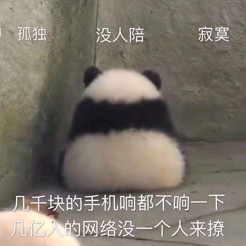 王丶丨Abaddon