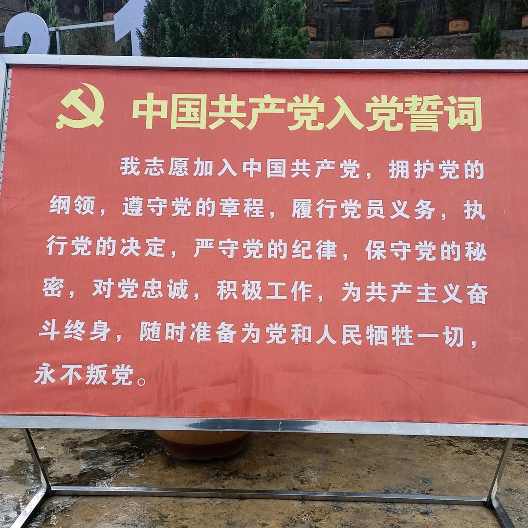 春天绿草