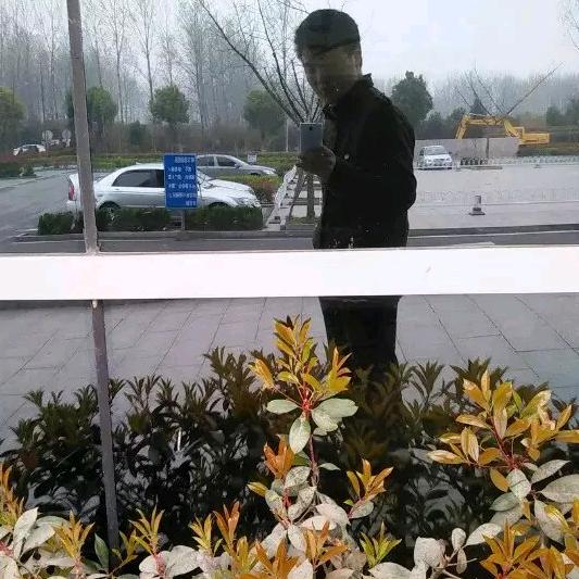 像风走了3万里