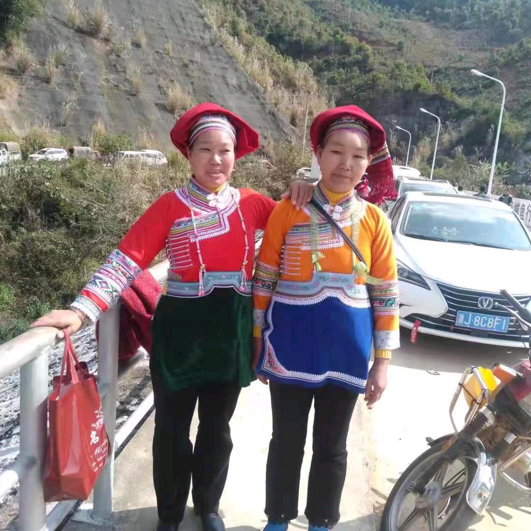 杨会芬