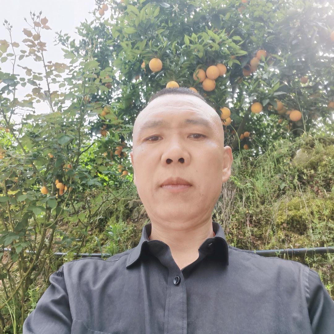 赐照水果种植有限公司