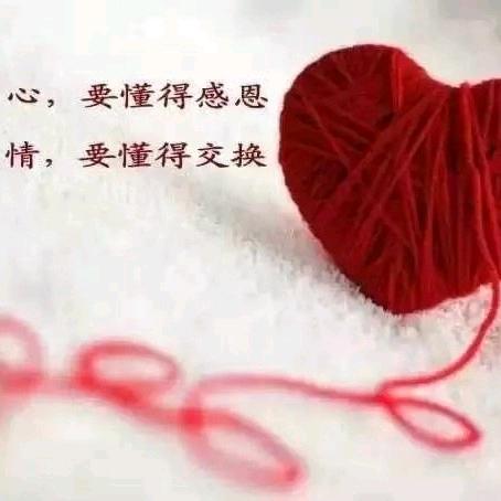淡然微笑