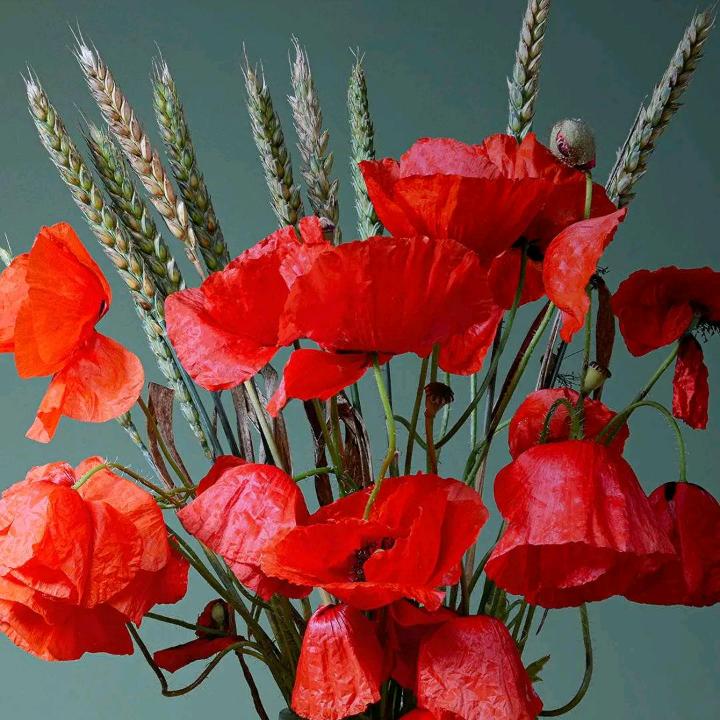 山清🗻水绣🌺