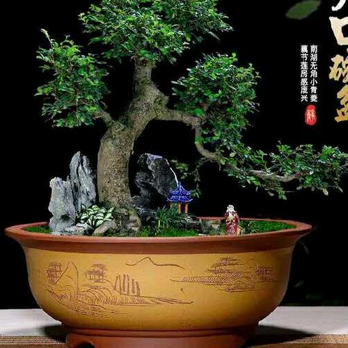 远文紫砂花盆厂