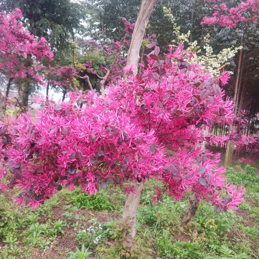 快乐每一天