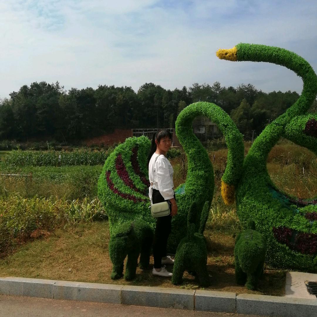 袁🌹来🌴是🌵🌾你🍁🌵