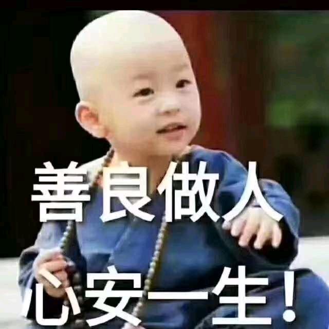 御龙在天