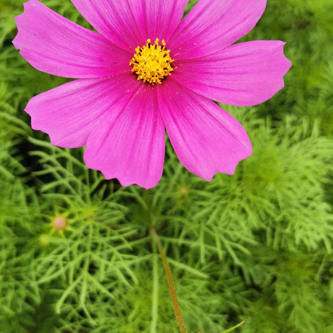 今夜一醉方休