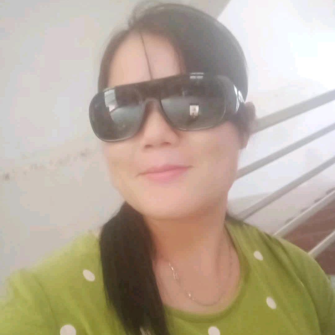 凤凰会飞