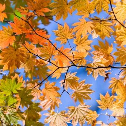 年轻不拽世界何以精彩