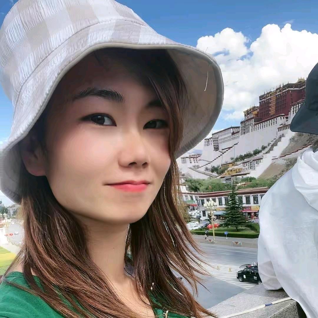 海豹 鑫豹商贸