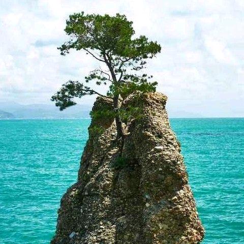 小花