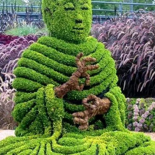 缘分让我认识你