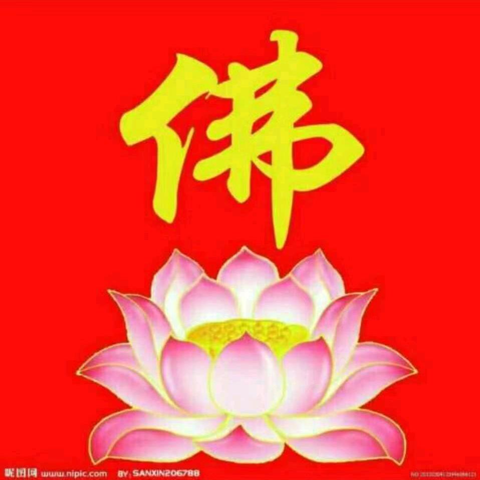 离苦得乐
