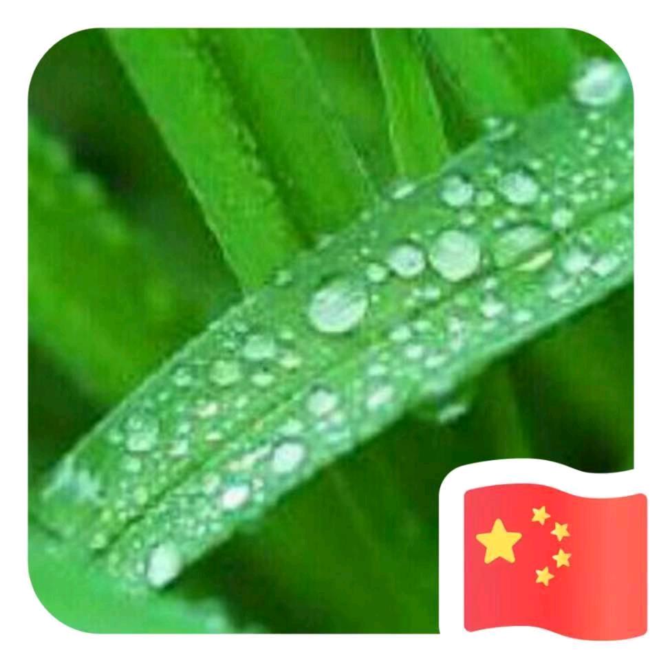 小勇宴席