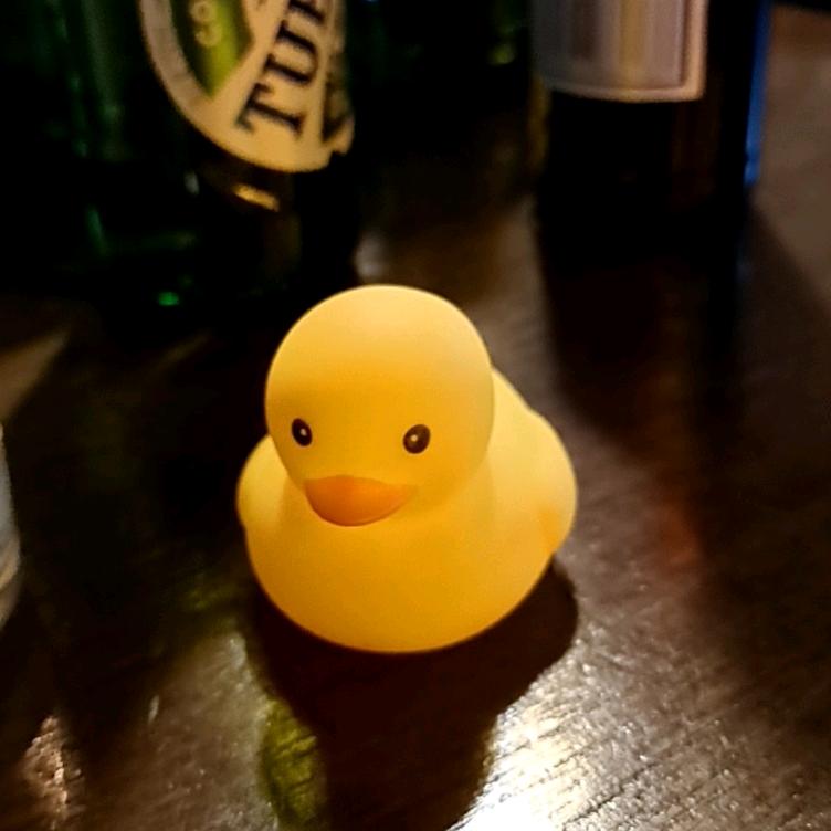 丶满圈的鸭子我嘴最硬