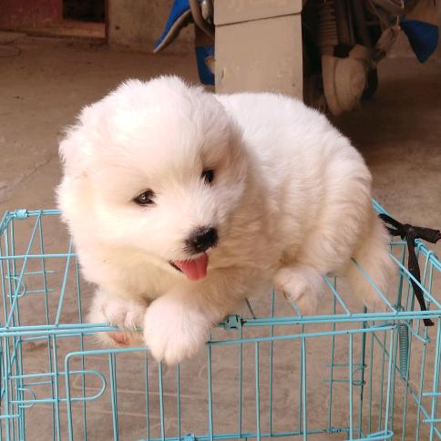 平安健康好👌🏻