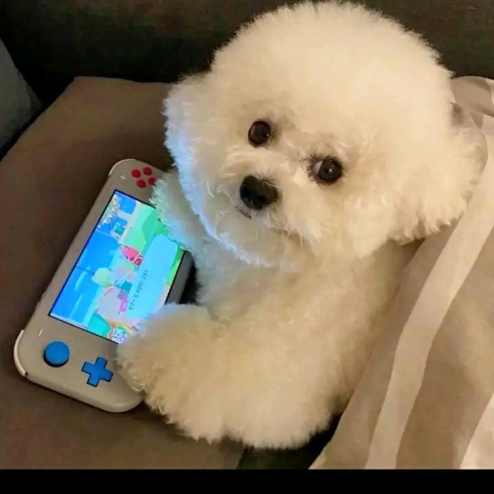 AAAA张总