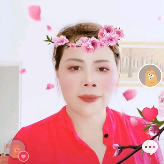 一朵美丽的梅花