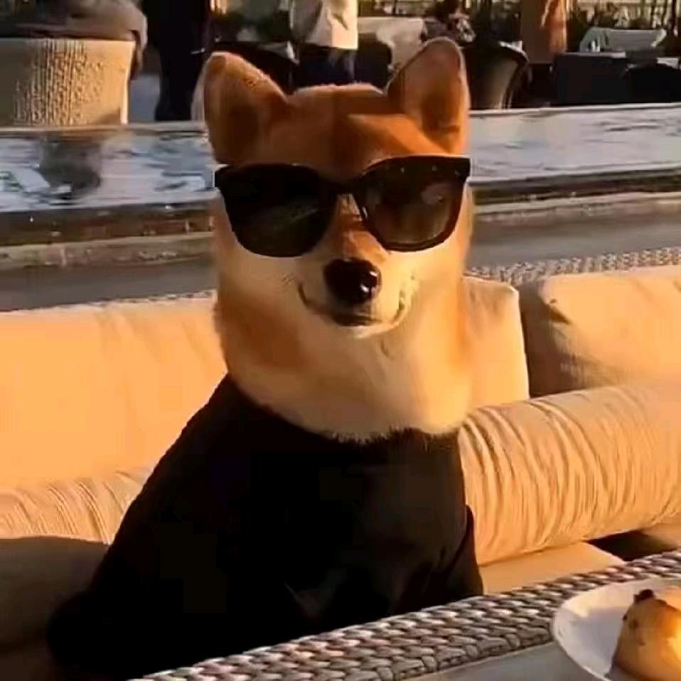 24K纯帅🤞