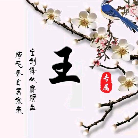 追逐阳光