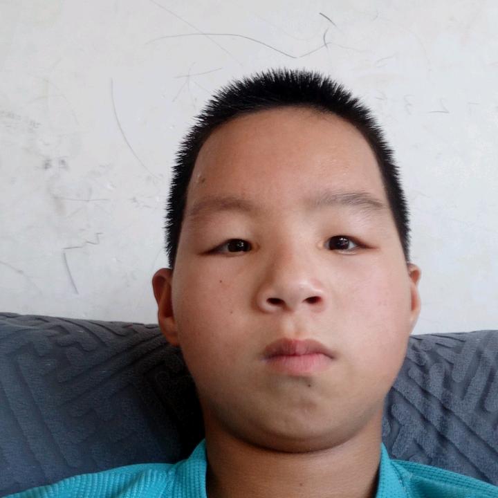 33423808234
