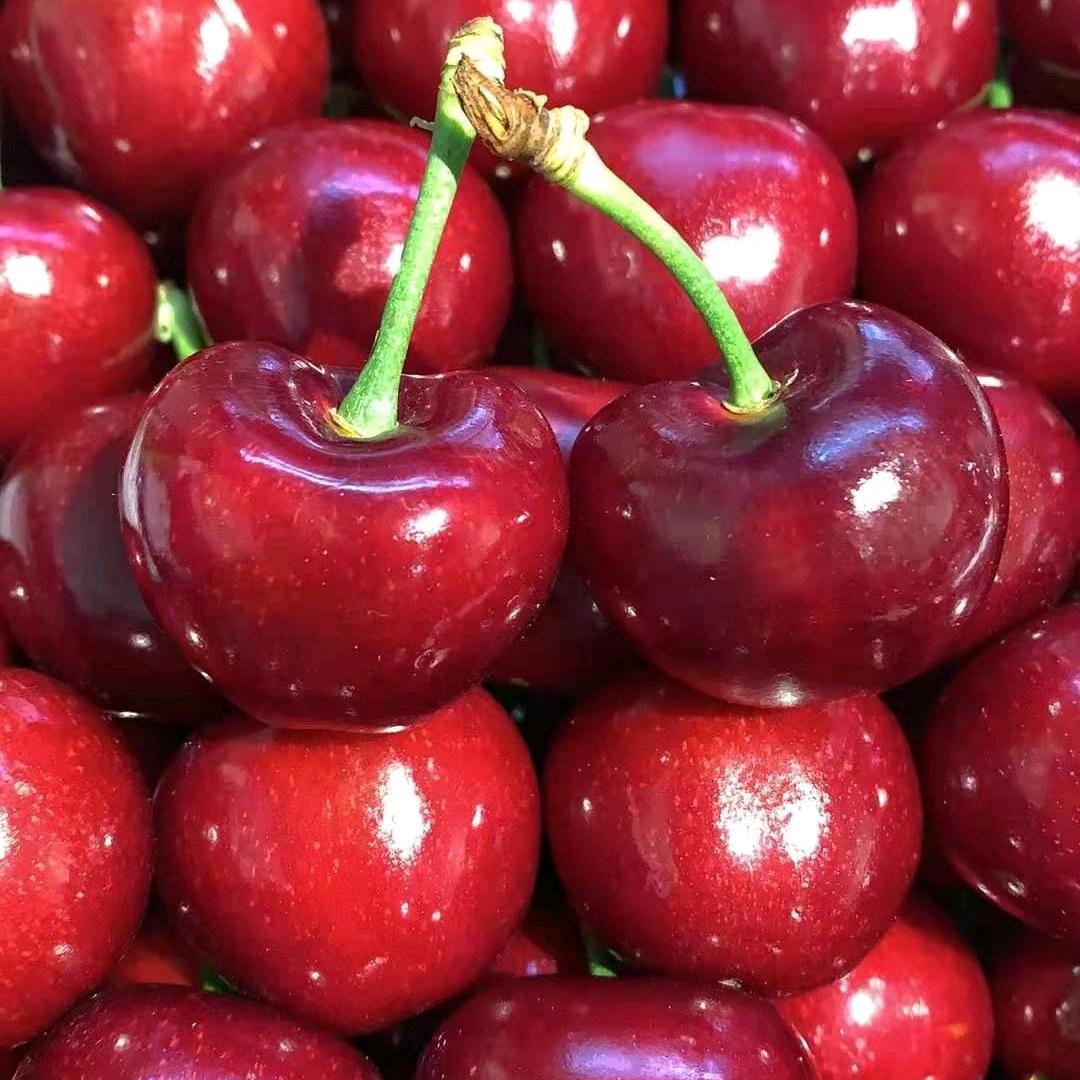 绿色果园古里中宏