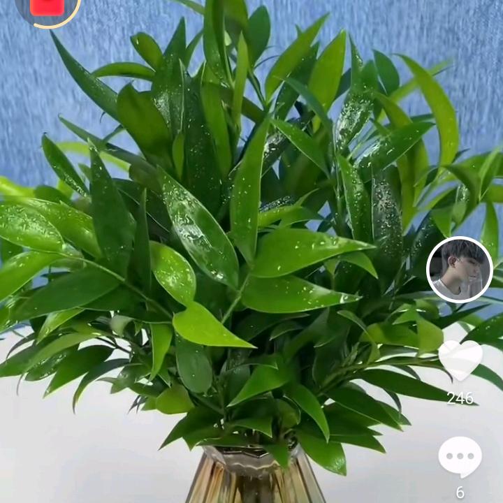小天才可以